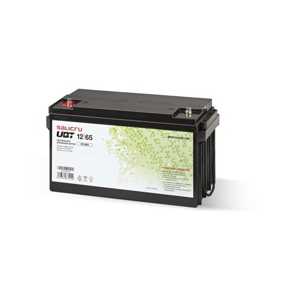 Comprar SALICRU 1401969 SALICRU BATERIA UBT 12/65 AGM RECARGABLE DE 65 AH/ 12 V 013BS000022