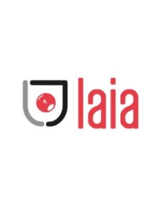 Comprar LAIA 1337953 LAIA SOPORTE UNIVERSAL DE PARED DE HIERRO NEGRO GALVANIZADO (SWM) SWM