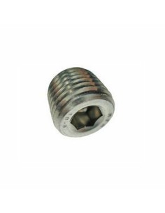 Kaufen FENWALL EXTAPLG2 FENWALL. Stopfen für Fenwal-Gehäuse 3/4"-NPT aus verzinktem Stahl