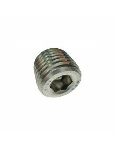 Acheter FENWALL EXTAPLG2 FENWALL. Bouchon pour boîtier Fenwal 3/4" NPT en acier zingué