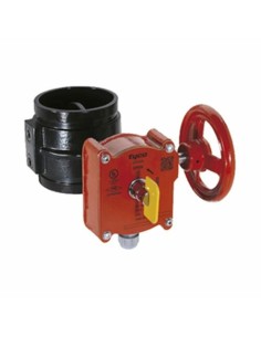 Comprar TYCO BFV-300GR-20 BFV-300GR-20 BFV-300GR-20