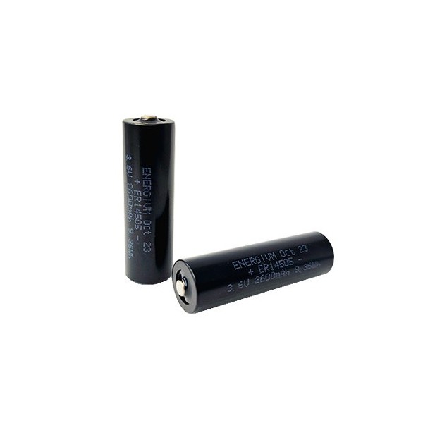 Acquistare OEM BATSLIM-1 CASMAR. Batteria al litio da 36 Vdc / 26 Ah tipo AA per barriere Sadrin WSI. La coppia di barriere rich