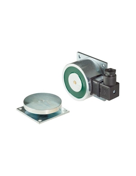 Acquista ELFRI S50160 ELFRI. Fermo IP65 per porta tagliafuoco