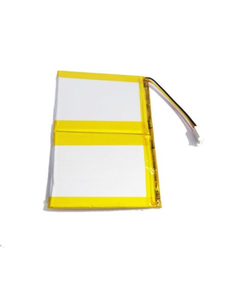 Kaufen RISCO 1BT3041 RISCO. Ersatzbatterie für die Wicomm Pro-Zentrale