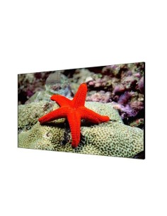Kaufen HIKVISION BASIC DS-D2065LU-Y HIKBASIC. 65"-Videowall-Monitor mit 4K-Auflösung, Rahmen mit 3.5mm, Eingänge: HDMI/VGA/DVI/D