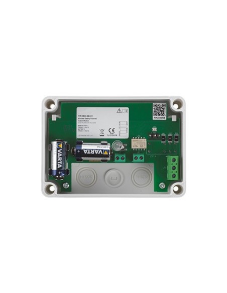 Kaufen LST FI750RF-OUB LST. Autonomes konventionelles Funk-Ausgangsmodul