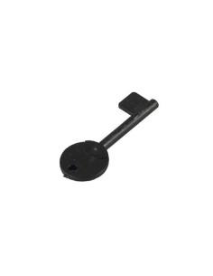 Acquistare CQR CHIAVE IN PLASTICA PASP1 CQR. Chiave in plastica pulsante PASP1