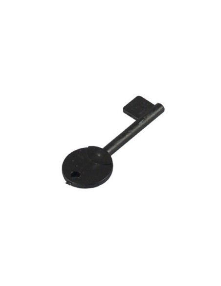 Acquistare CQR CHIAVE IN PLASTICA PASP1 CQR. Chiave in plastica pulsante PASP1