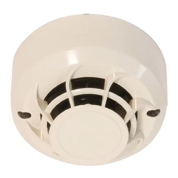 Comprar MORLEY | Loja Online Oficial