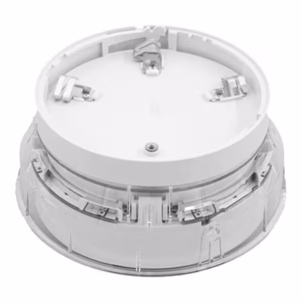 Comprar MORLEY | Loja Online Oficial