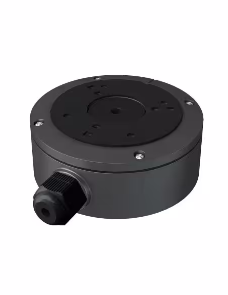 Acquistare TVT | Negozio Online Ufficiale