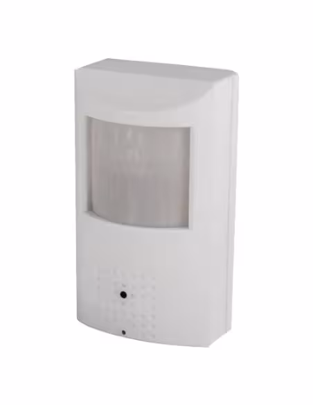 Acheter BYSECUR BYSECUR-63 Caméra de surveillance camouflée en PIR 1080p 4 en 1 ( HD-TVI, AHD, HD-CVI, Analogique )
