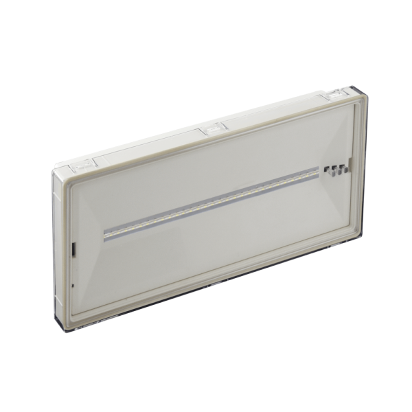 Acheter BYSECUR BYSECUR-428 Luminaires d’urgence LED blanc. 15 LED blanches 38-100 lumens 3 h