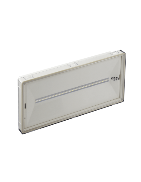 Acheter BYSECUR BYSECUR-428 Luminaires d’urgence LED blanc. 15 LED blanches 38-100 lumens 3 h