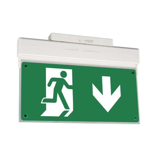 Comprar BYSECUR BYSECUR-429 Señal de seguridad con iluminación LED interna 3h ZLD-28/EM