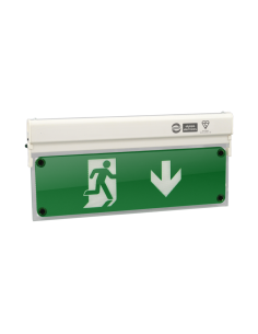 Acheter BYSECUR BYSECUR-430 Signal de sécurité avec éclairage LED interne 3 heures
