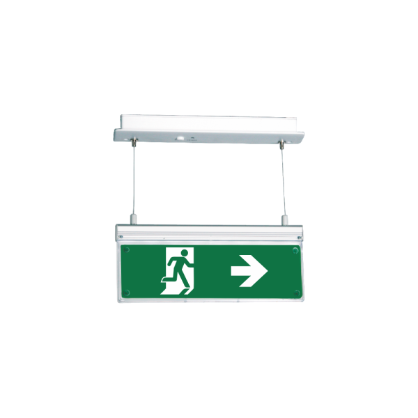 Acheter BYSECUR BYSECUR-431 Panneau de sécurité avec éclairage LED interne 3 heures