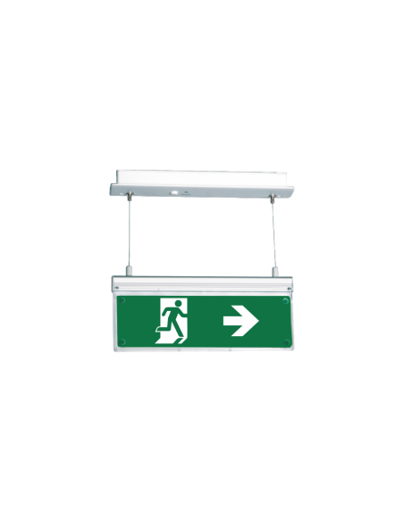 Comprar BYSECUR BYSECUR-431 Señal de seguridad con iluminación LED interna 3 horas SLD-28/DZ