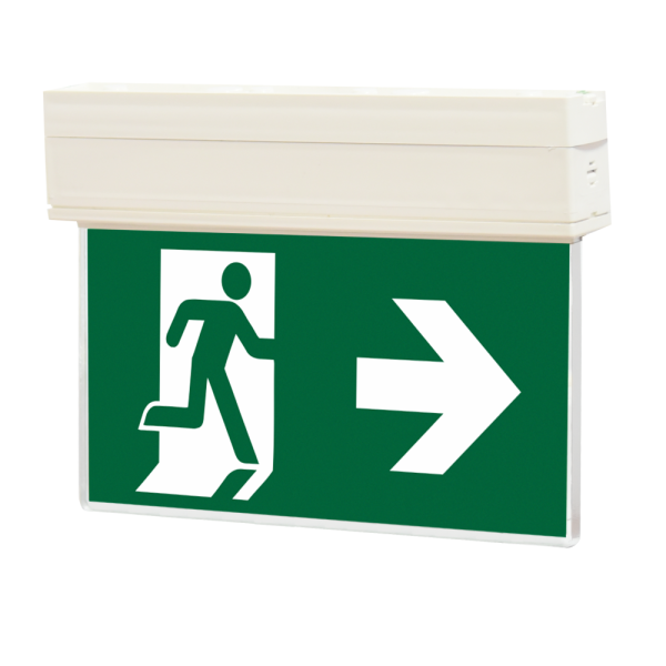 Comprar BYSECUR BYSECUR-432 Señal de seguridad iluminada internamente con LED 3h KLD-22