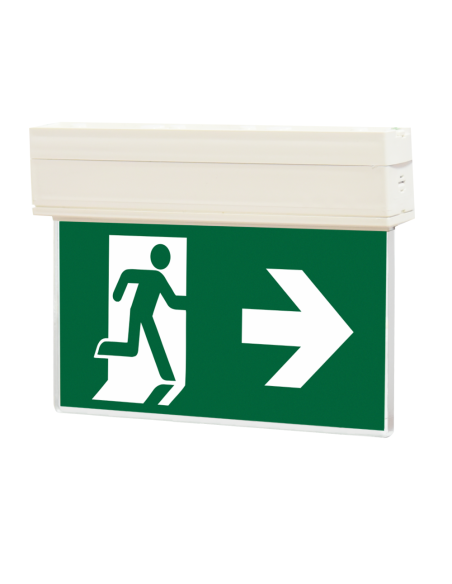 Comprar BYSECUR BYSECUR-432 Señal de seguridad iluminada internamente con LED 3h KLD-22