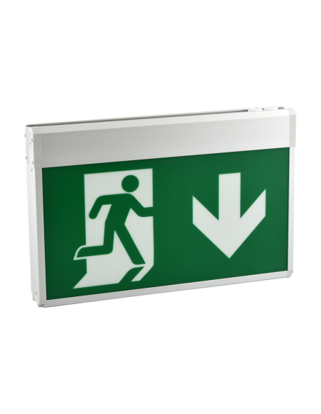 Comprar BYSECUR BYSECUR-433 Señal de seguridad iluminada internamente con LED blanco 3 horas Doble cara LLB-26/180 Self Test