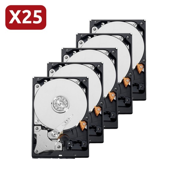 Acheter SEAGATE 25XHD2TB-S lot de disques durs Seagate - 25 unités - Capacité 2 To - Interface SATA 6 Gb/s - Modèle Skyhawk S