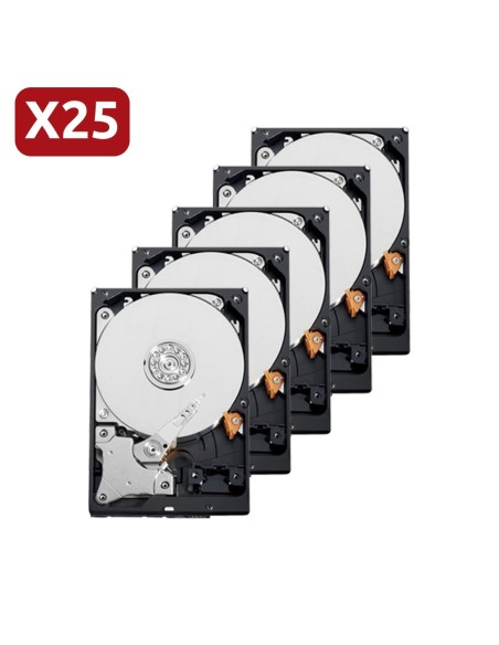 Acheter SEAGATE 25XHD2TB-S lot de disques durs Seagate - 25 unités - Capacité 2 To - Interface SATA 6 Gb/s - Modèle Skyhawk S