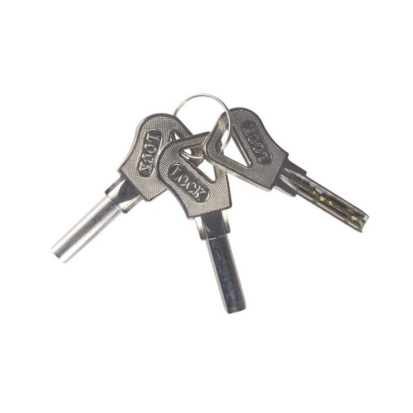 Acheter YLI ABK-703B-S Serrure électromécanique en applique - Mode d’ouverture Fail Secure (NO) - Adaptée à une installation san