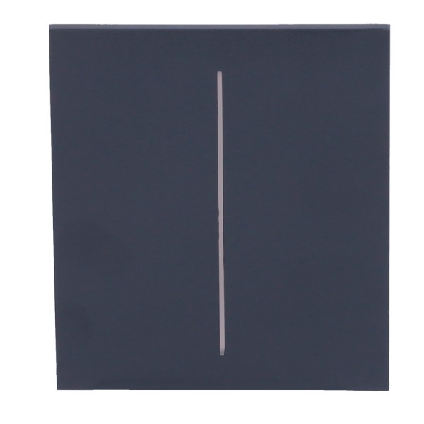 Kaufen AJAX AJ-CENTERBUTTON-2G-GRA Touchpanel für einen doppelten Lichtschalter – kompatibel mit AJ-LIGHTCORE-2G – Hintergrundbe