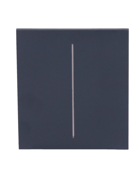 Comprar AJAX AJ-CENTERBUTTON-2G-GRA Panel táctil para interruptor de luz doble  - Compatible con AJ-LIGHTCORE-2G - Retroiluminac