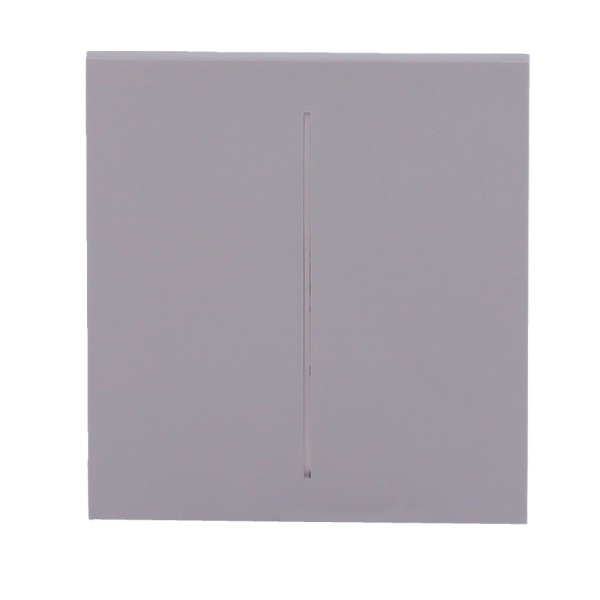 Acheter AJAX AJ-CENTERBUTTON-2G-GRE Panneau tactile pour interrupteur double d’éclairage - Compatible avec AJ-LIGHTCORE-2G - Rét