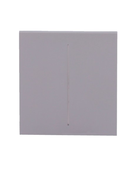 Comprar AJAX AJ-CENTERBUTTON-2G-GRE Panel táctil para interruptor de luz doble  - Compatible con AJ-LIGHTCORE-2G - Retroiluminac