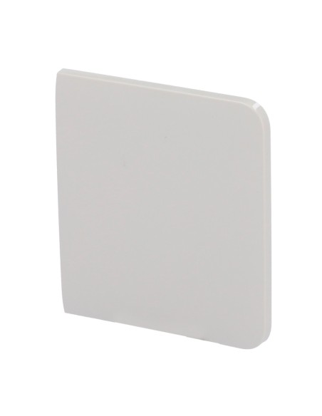Acheter AJAX AJ-SIDEBUTTON-1G2W-OYS Panneau tactile pour un interrupteur d’éclairage - Compatible avec AJ-LIGHTCORE-1G /-2W - Ré