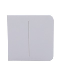 Kaufen AJAX AJ-SIDEBUTTON-2G-FOG Touchpanel für Doppellichtschalter – kompatibel mit AJ-LIGHTCORE-2G – Hintergrundbeleuchtung 2