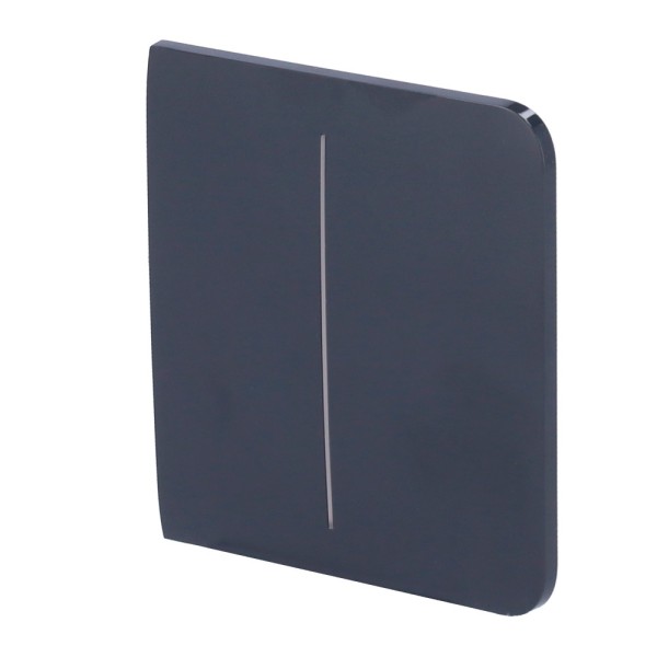 Kaufen AJAX AJ-SIDEBUTTON-2G-GRA Touchpanel für doppelten Lichtschalter – kompatibel mit AJ-LIGHTCORE-2G – Hintergrundbeleuchtun