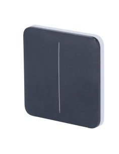 Kaufen AJAX AJ-SOLOBUTTON-2G-GRA Touchpanel für doppelten Lichtschalter – Kompatibel mit AJ-LIGHTCORE-2G – Hintergrundbeleuchtet