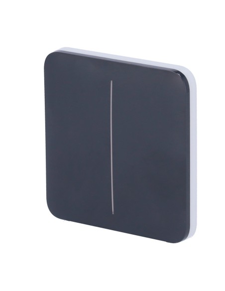 Kaufen AJAX AJ-SOLOBUTTON-2G-GRA Touchpanel für doppelten Lichtschalter – Kompatibel mit AJ-LIGHTCORE-2G – Hintergrundbeleuchtet