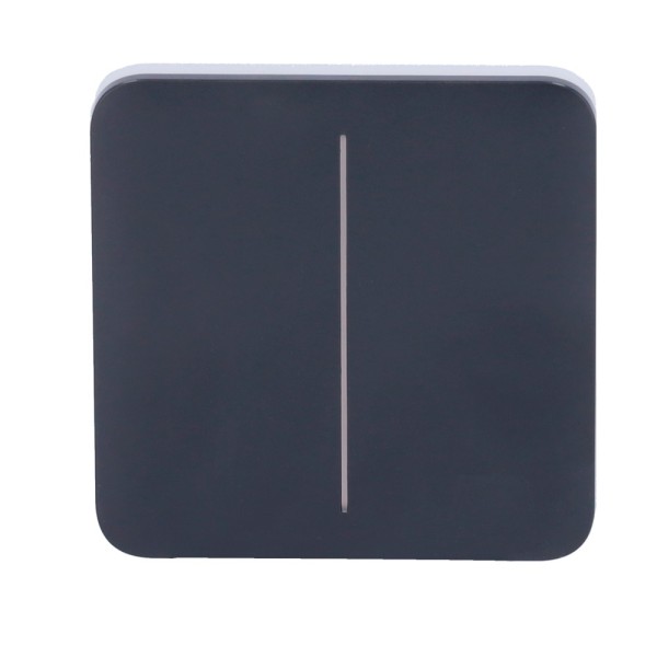 Kaufen AJAX AJ-SOLOBUTTON-2G-GRA Touchpanel für doppelten Lichtschalter – Kompatibel mit AJ-LIGHTCORE-2G – Hintergrundbeleuchtet