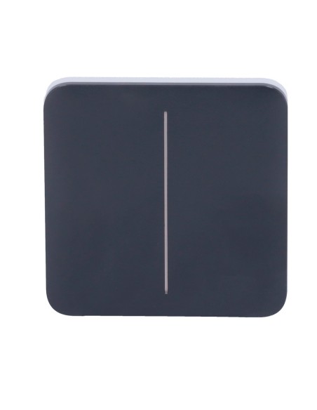 Kaufen AJAX AJ-SOLOBUTTON-2G-GRA Touchpanel für doppelten Lichtschalter – Kompatibel mit AJ-LIGHTCORE-2G – Hintergrundbeleuchtet
