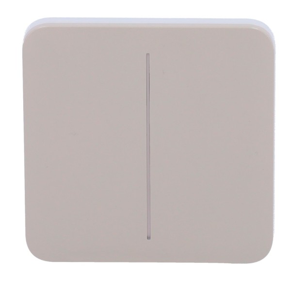Acheter AJAX AJ-SOLOBUTTON-2G-OLI Panneau tactile pour interrupteur double d’éclairage - Compatibilité avec AJ-LIGHTCORE-2G - Ré