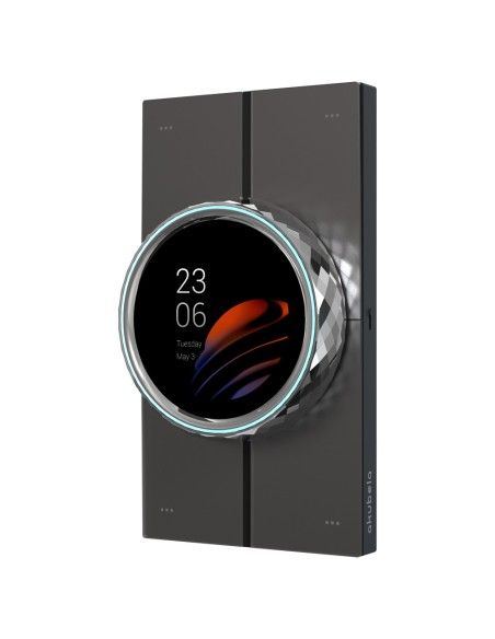 Akubela AK-RT61-PoE-UE Monitor Android 10.0 para Automação Home - Tela TFT de 2.1 & Quot | Aplicações de terceiros - Áudio Bidir