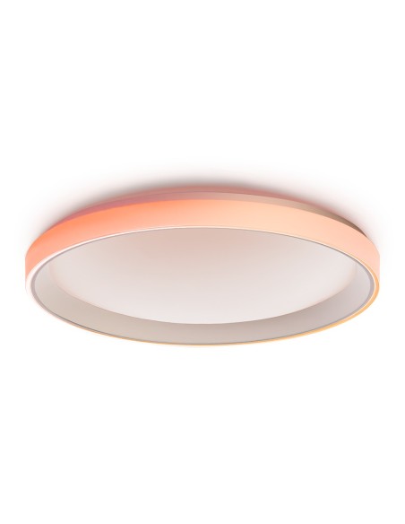 Acheter AQARA AQ-CL-L02D Plafonnier LED Aqara T1M - Lumière principale blanche avec réglage du chaud au froid - Anneau extérieur