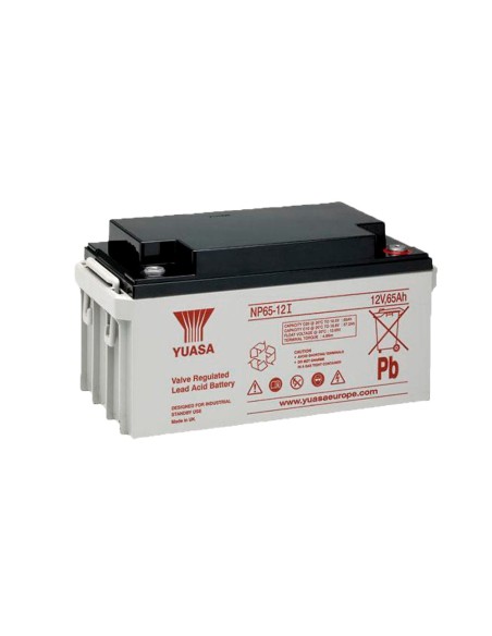 Kaufen OEM BATT-NP65-12I Yuasa NP65-12I – Wiederaufladbarer Akku – AGM-Blei-Säure-Technologie – Spannung 12 V / Kapazität 65 Ah 