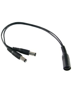 Safire Con102 Safire Fofire Distribuidor - 1 Norma Masculino Entrada - 2 Paradas Femininas Padrão - Alimentos