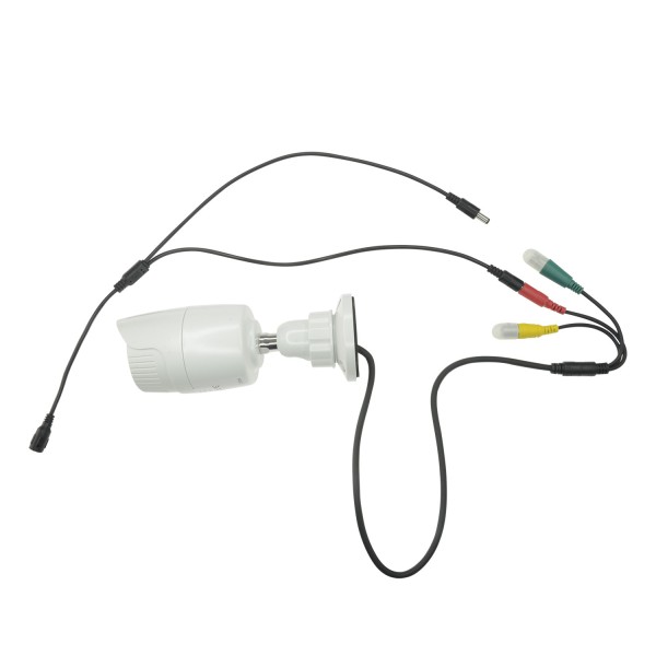 Safire Con102 Safire Fofire Distribuidor - 1 Norma Masculino Entrada - 2 Paradas Femininas Padrão - Alimentos