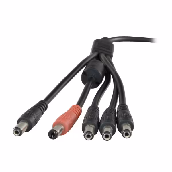 Comprar SAFIRE | Loja Online Oficial