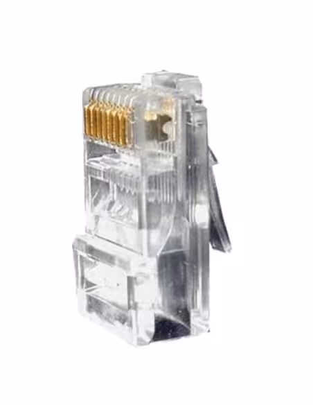 Acheter OEM CON300-CAT6 Connecteur - RJ45 CAT6 à sertir - Compatible avec câble UTP - 20 mm (L) - 10 mm (l) - 5 g