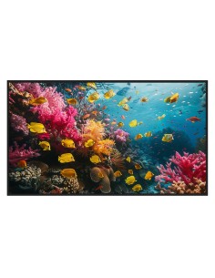 Comprar HIKVISION DS-D6050UH-DP Monitor digital signage 50" 4K - Cartelería digital local USB - Cartelería digital FocSign 