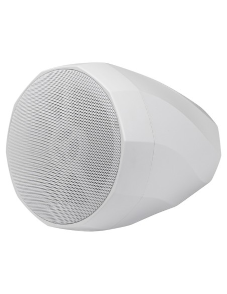 Kaufen DSPPA DSPPA-DSP5053W Hängelautsprecher – 2-Wege: 5,25"-Bassreflex-Woofer + 1"-Tweeter – Leistung 2,5/5/8/15/30 W (10