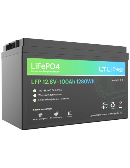 Kaufen DYNESS DY-AR-1200 stationäre Batterie – Kapazität 1280 Wh – LiFePO4 12 V / 100 Ah – 3000 Lebenszyklen – Bis zu 16 Einheit